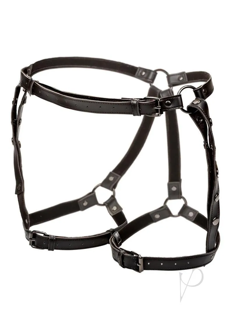 Euphoria Coll Ps Riding Thigh Harness