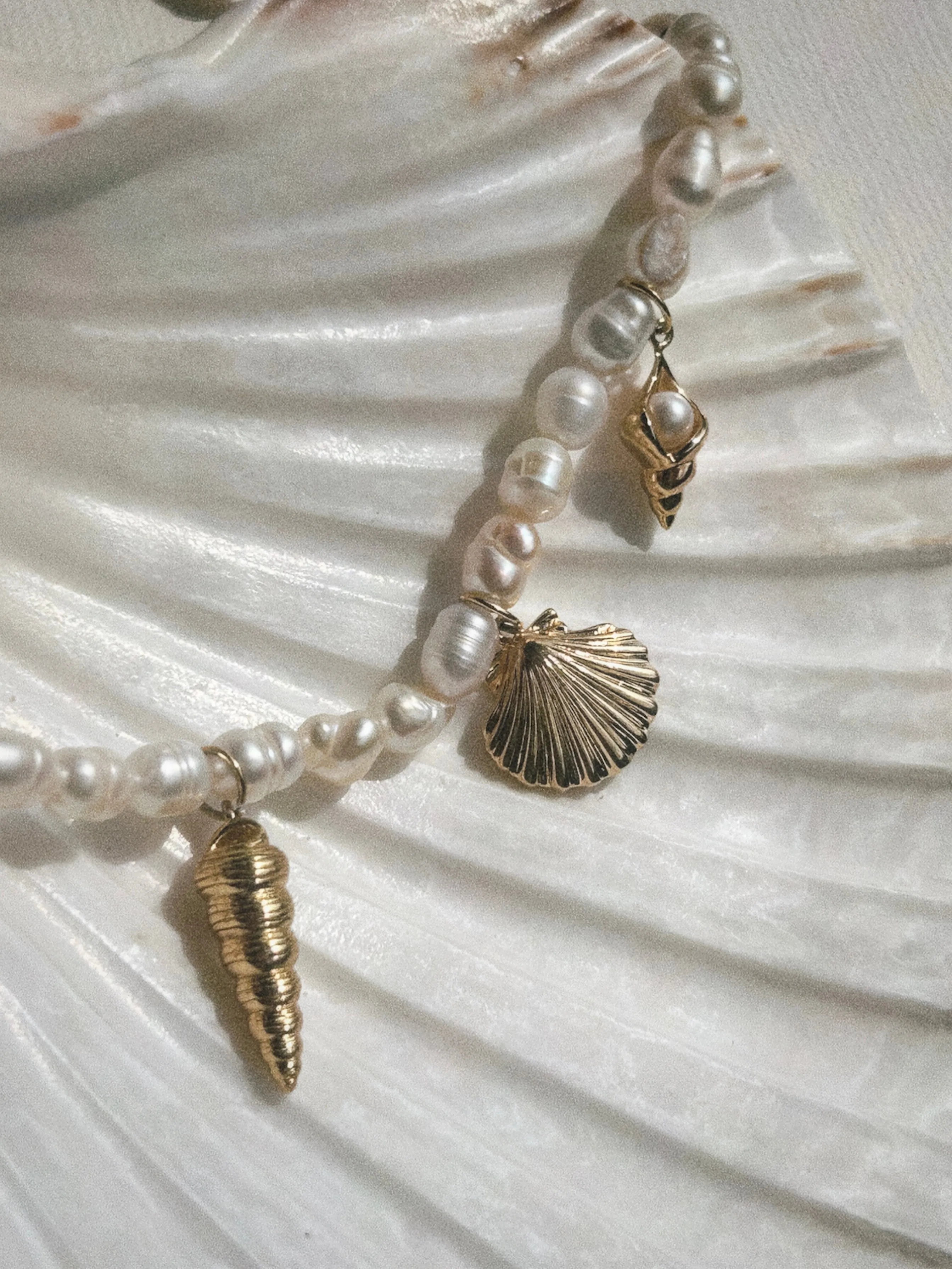 Lana Spiral Shell Charm